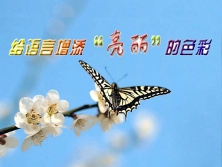 高中语文 给语言增添亮丽的色彩课件 新人教版必修5 课件