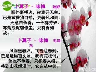 高考语文 一事一物总关情作文复习课件 新人教版 课件