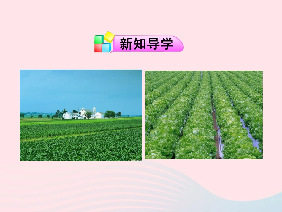 第三节  化学与农业生产课件 九年级化学全册 第五单元 化学与社会发展 第三节 化学与农业生产课件+素材 鲁教版五四制_第2页