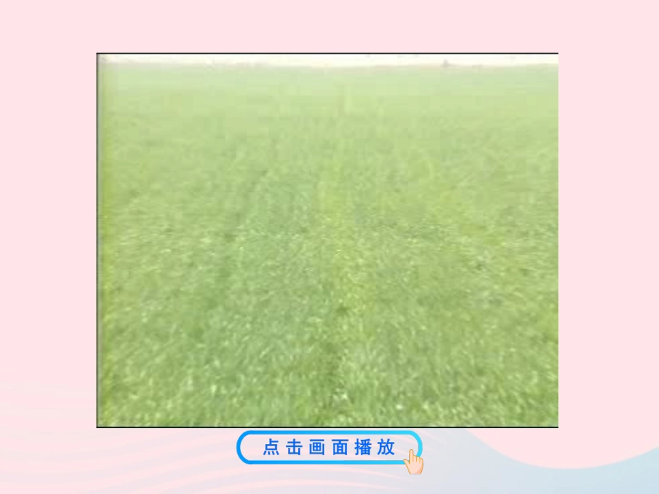 第三节  化学与农业生产课件 九年级化学全册 第五单元 化学与社会发展 第三节 化学与农业生产课件+素材 鲁教版五四制_第3页