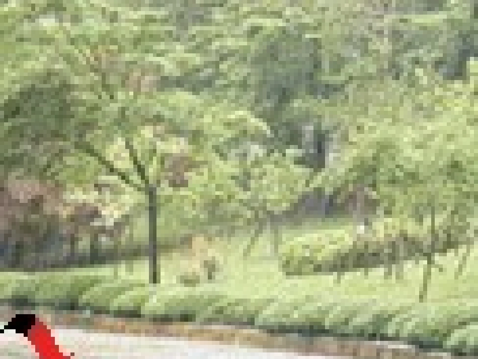 高中语文 第四专题(听听那冷雨)课件 苏教版必修2 课件_第3页