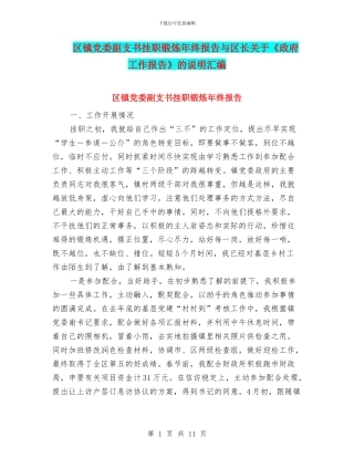 区镇党委副支书挂职锻炼年终报告与区长关于《政府工作报告》的说明汇编