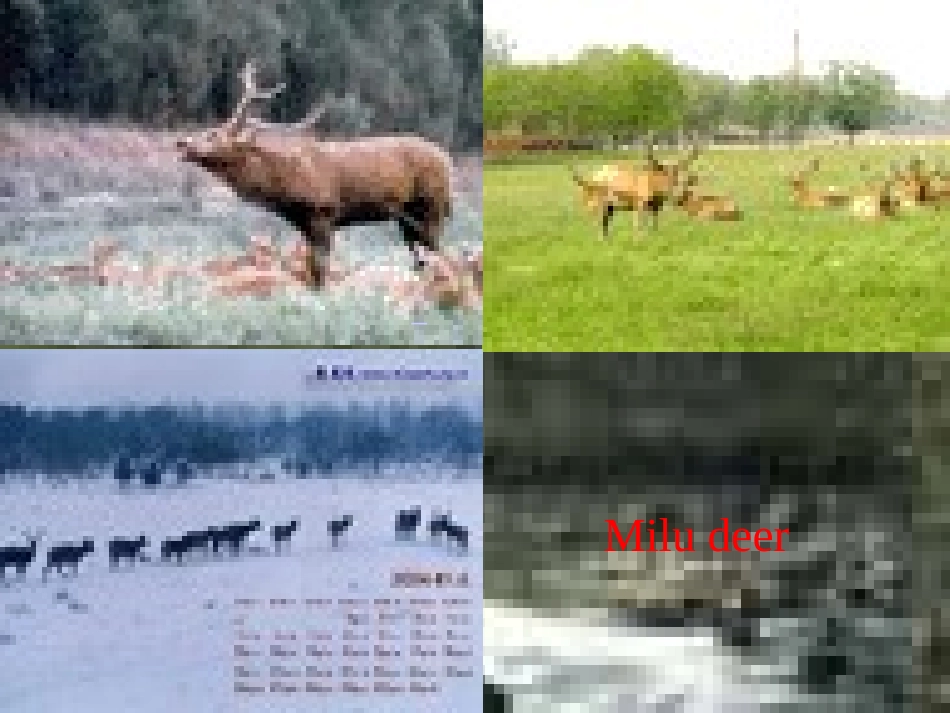 高一英语模块2Unit4课件 新课标 人教版 课件_第3页