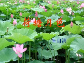 高中语文第四专题慢慢走欣赏啊荷塘月色课件苏教版必修2 课件