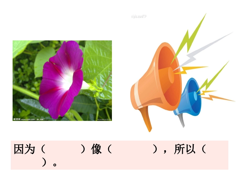 喇叭花 (2)_第1页