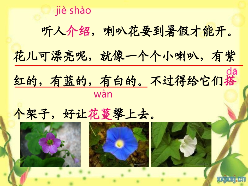 喇叭花 (2)_第3页