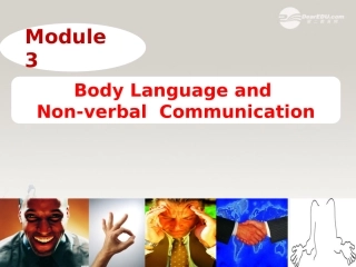 高一英语(M3-Reading and vocabulary)课件  课件