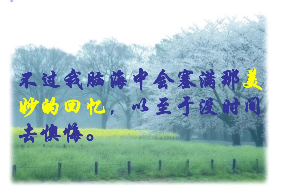 高中语文(假如给我三天光明) 苏教版必修2 课件_第3页