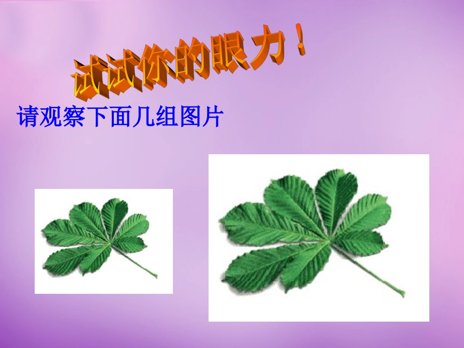 重庆市云阳县水口初九年级中学九年级数学下册 27.1 图形的相似课件 (新版)新人教版 课件_第2页