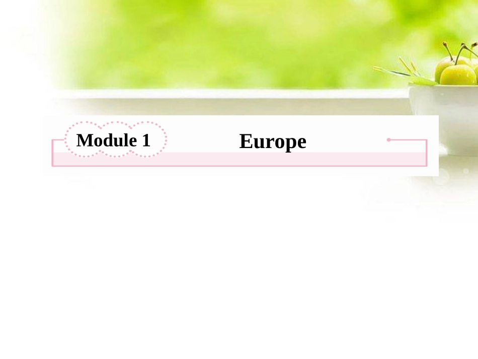 高考英语总复习 Unit1 Europe精品课件 外研版必修3 课件_第2页