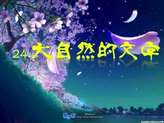 六年级语文《大自然的文字》第一课时课件