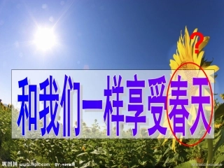 和我们一样享受春天示范课