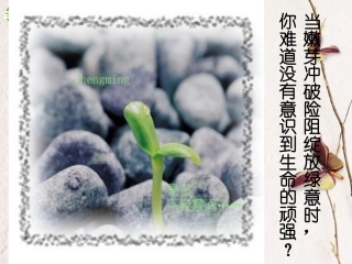 高中语文 第一单元第3课(囚绿记)课件 新人教版必修2 课件