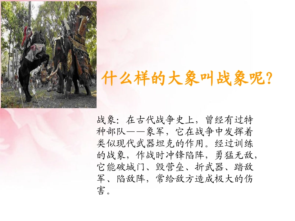 最后一头战象优秀_第2页