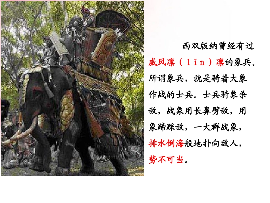 最后一头战象优秀_第3页