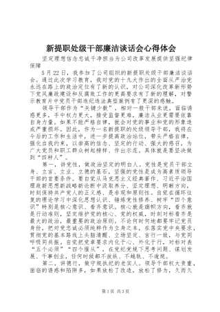 新提职处级干部廉洁谈话会心得体会
