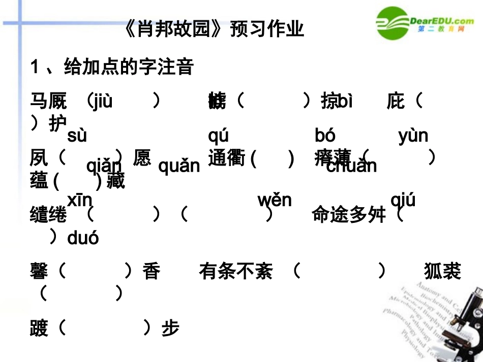 高中语文 第一专题之(肖邦故园)课件 苏教版必修3 课件_第3页