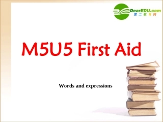 高一英语 Unit 5 First Aid-warming up & Reading课件 新人教版必修5 课件