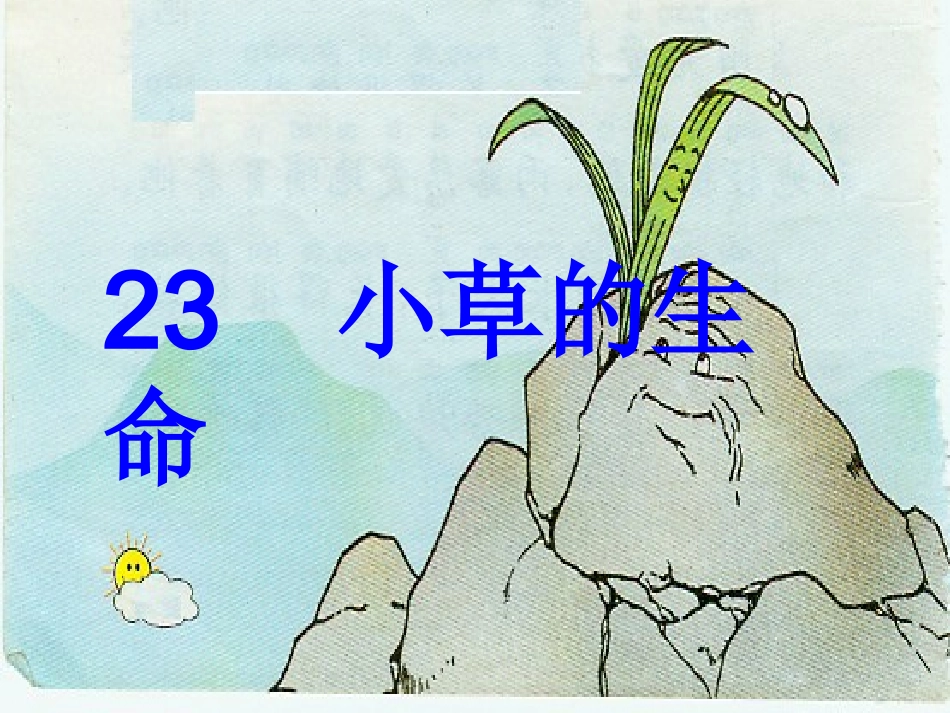 小草的生命课件_第1页