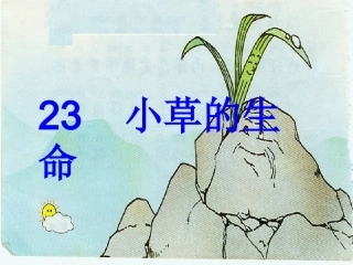 小草的生命课件
