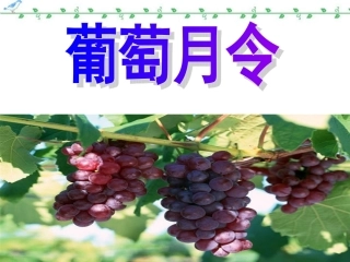 高二语文现代散文选读葡萄月令课件 苏教版 课件