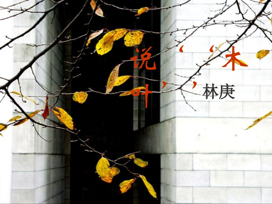 高中语文第三单元第11课：(说 木叶 )课件 新人教版必修5 课件_第1页