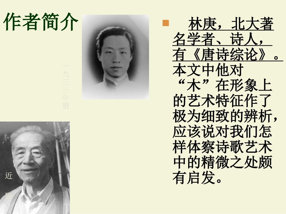 高中语文第三单元第11课：(说 木叶 )课件 新人教版必修5 课件_第2页