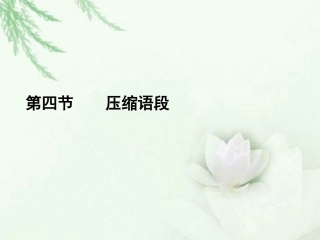 高中语文二轮复习 174 压缩语段课件(新课标) 课件
