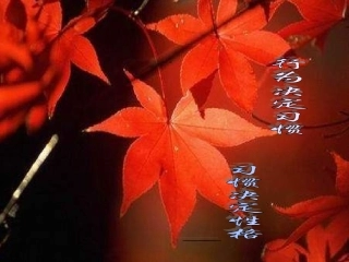 创文明校园，做文明学子