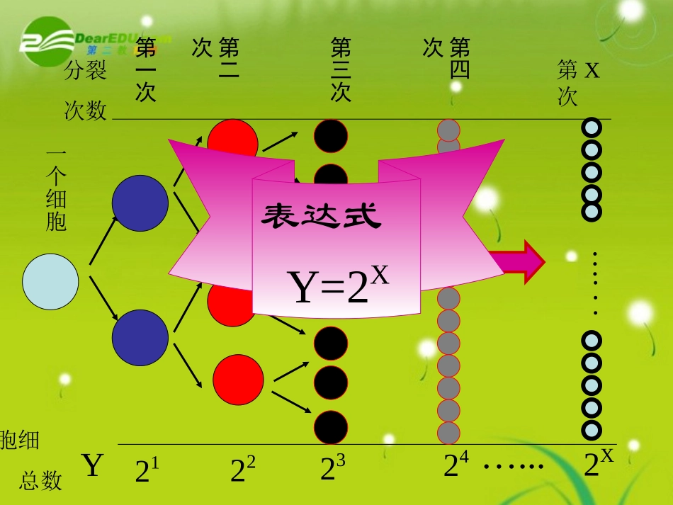 高中数学(指数函数)课件7 苏教版必修1 课件_第3页