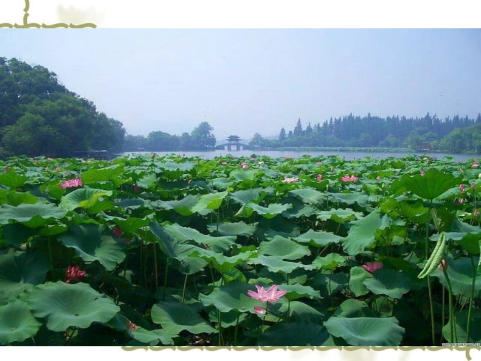 高中语文：(苏幕遮)课件(人教版) 课件_第3页