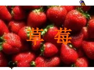 高中语文 5(草莓)课件沪教版第一册 课件