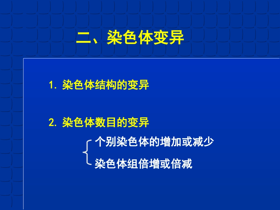 染色体变异5_第1页