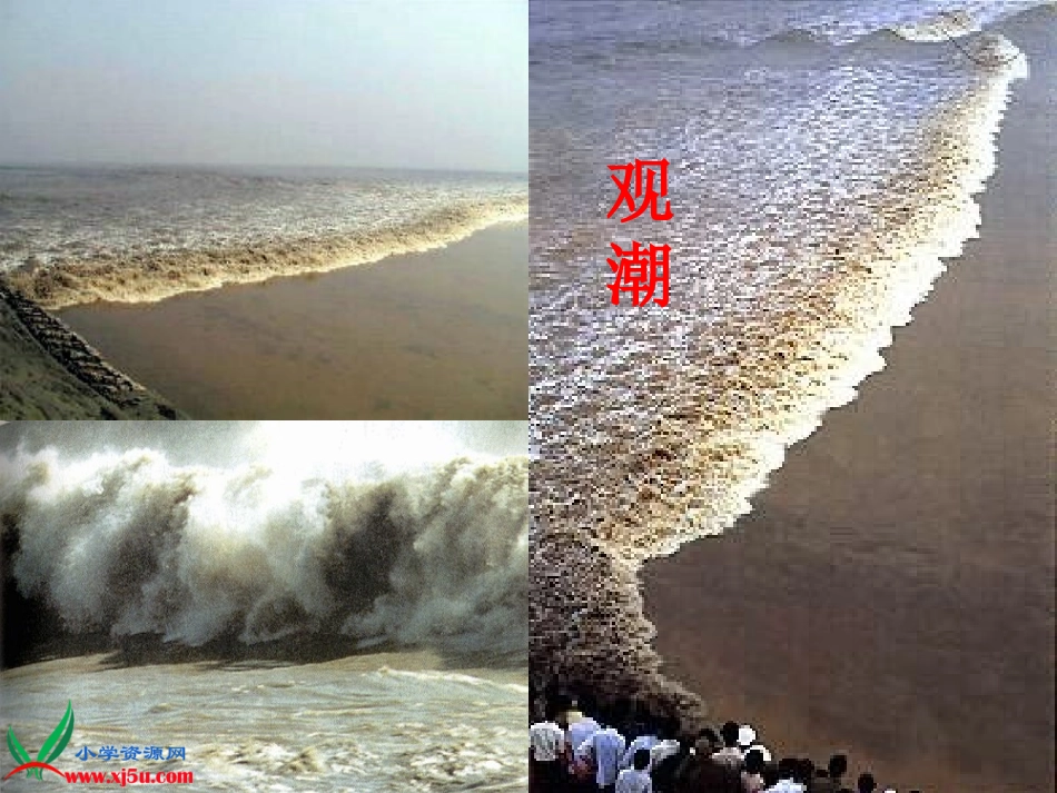 《观潮》课件2_第2页