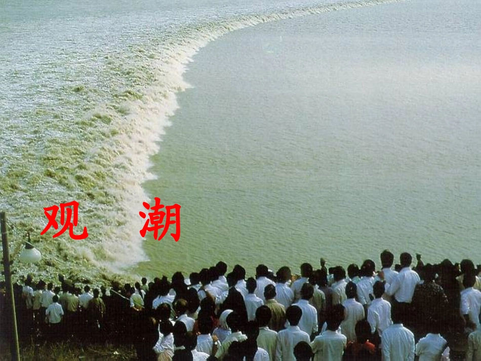 《观潮》课件2_第3页
