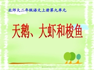 天鹅大虾和梭鱼