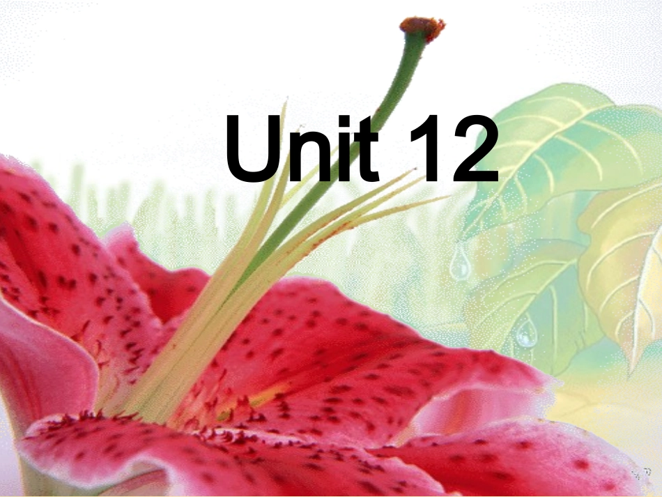 高三英语第一轮复习之高二英语Unit12 试题_第2页