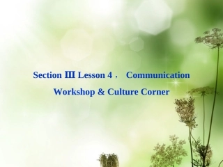 高中英语 Unit15 Section Ⅲ Lesson 4，Communication Workshop & Culture Corner精品课件 北师大版必修5 课件