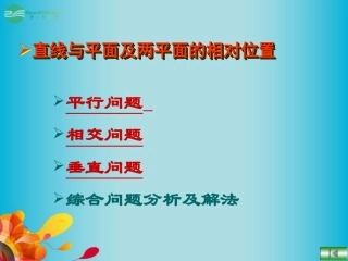 高三数学 数学直线与平面及两平面的相对位置复习课件 新人教A版  课件