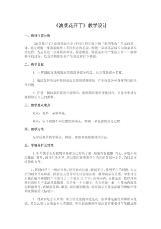 油菜花开了教学设计
