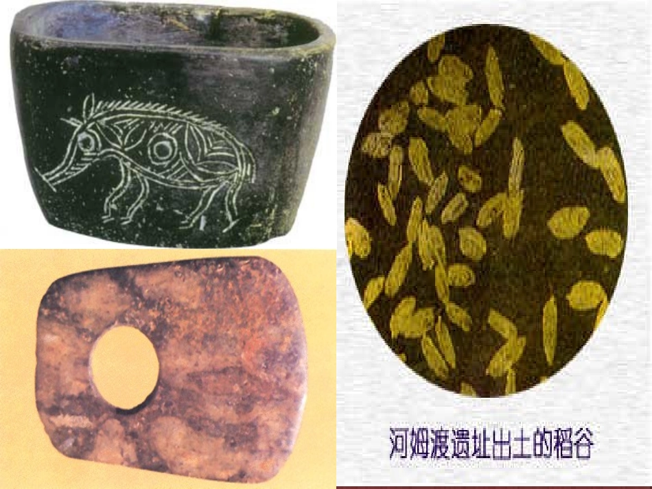 七年级历史原始的农耕生活_第3页