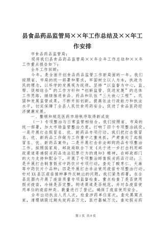 县食品药品监管局××年工作总结及××年工作安排 