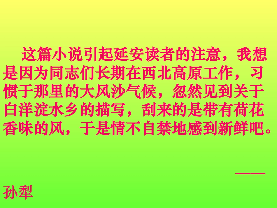 高一语文 荷花淀 课件_第3页