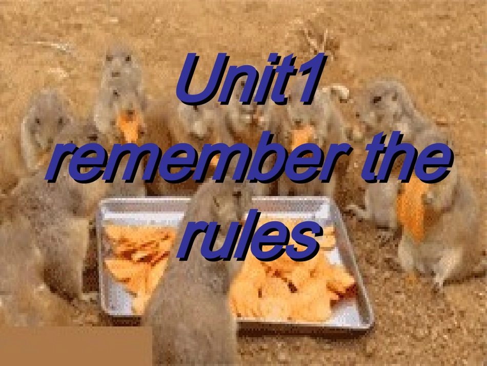 五年级下英语课件-Unit+1+Remember+the+rules_深港朗文版_第1页