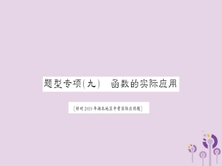 湖北省中考数学二轮复习 中档题题型专项突破(九)课件