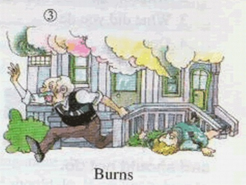 浙江地区高二英语Unit8 reading课件_第2页