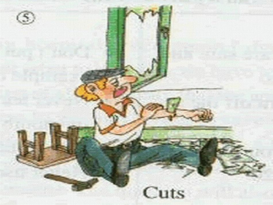 浙江地区高二英语Unit8 reading课件_第3页