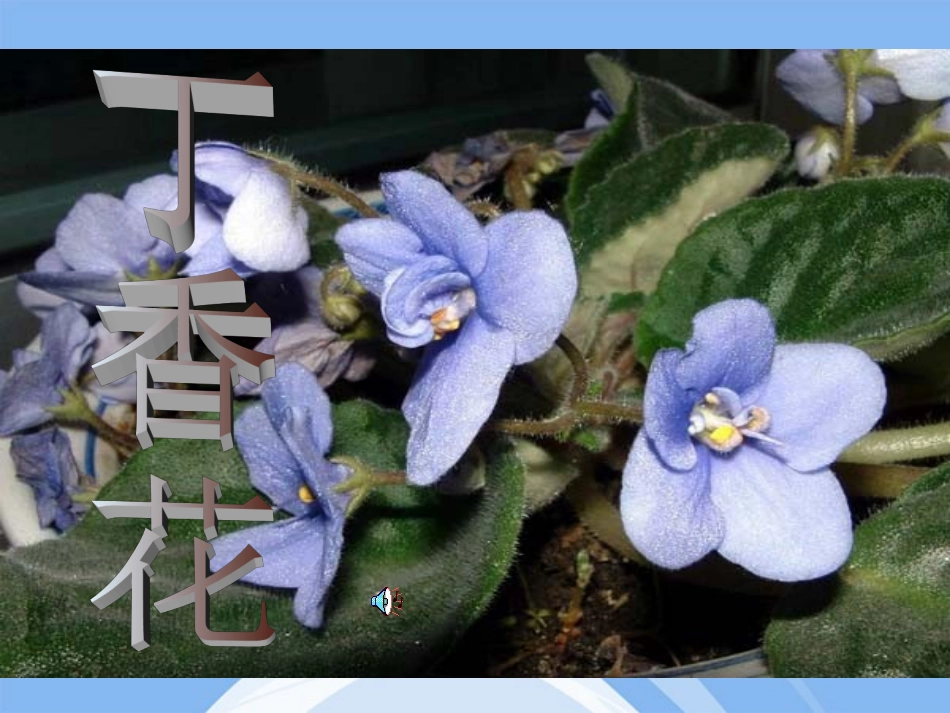 高中语文 1.2.1(雨巷)课件 新人教版必修1 课件_第1页