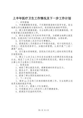 上半年医疗卫生工作情况及下一步工作计划 