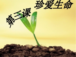 《世界因生命而精彩》